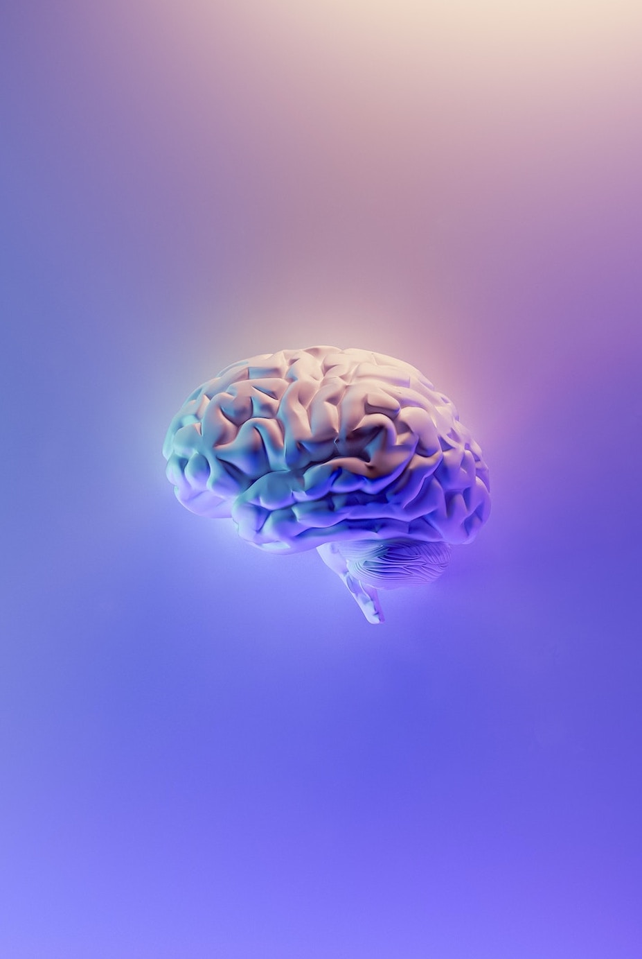 Coaching professionnel Entreprise Neuroosciences Coaching professionnel Entreprise Neurosciences