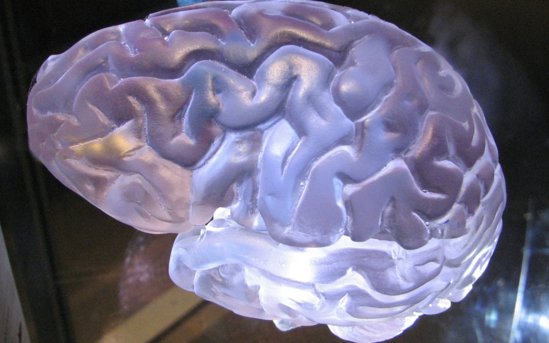 Pourquoi les neurosciences peuvent être bénéfiques dans un accompagnement en coaching professionnel ?