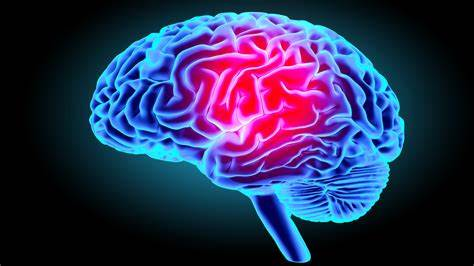 NOTRE CERVEAU EST TELLEMENT FORMIDABLE